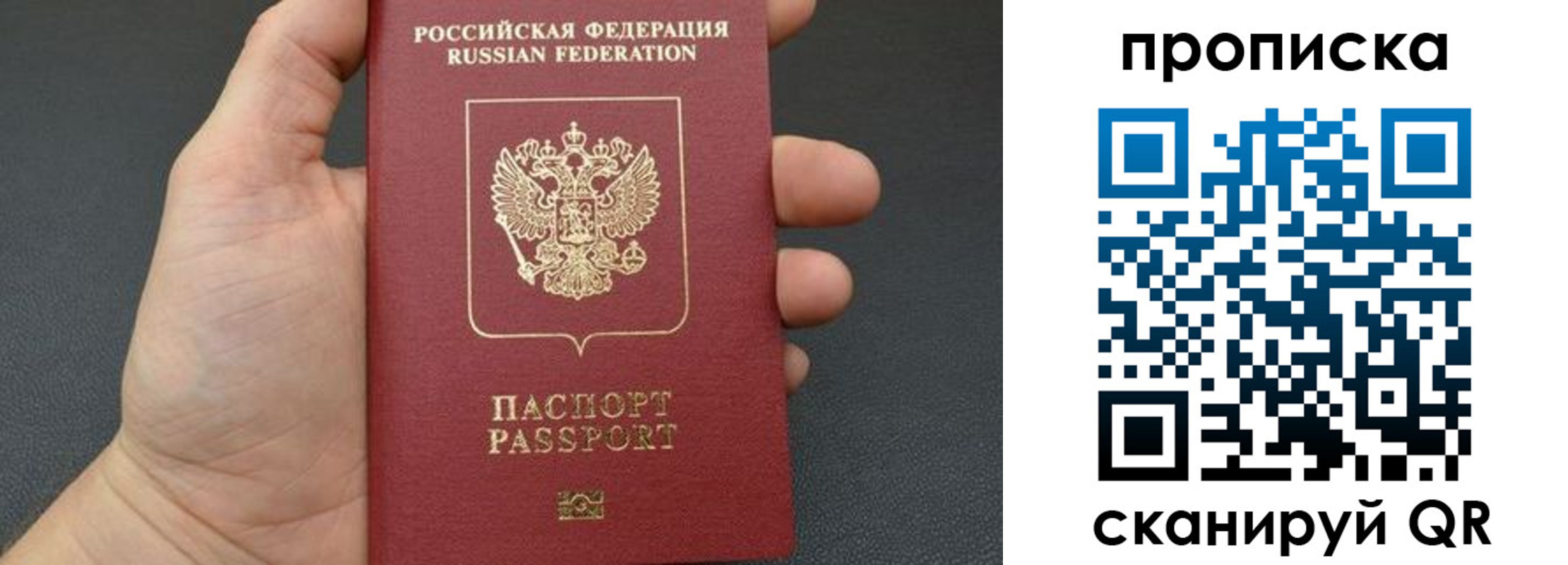 временная прописка в Кингисеппе